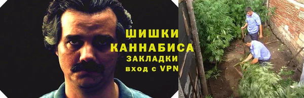 мет Няндома