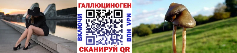магазин Приморско-Ахтарск дарк нет наркотические препараты Галлюциногенные грибы Magic Shrooms