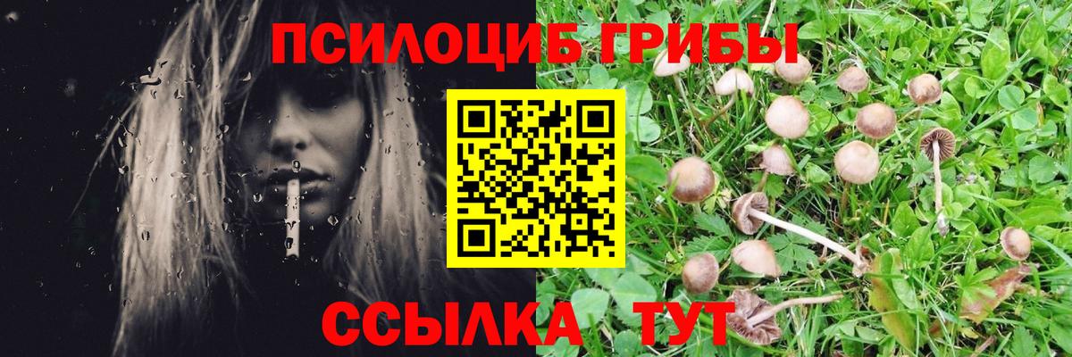 Приморско-Ахтарск  Галлюциногенные грибы мухоморы  Вход с VPN 